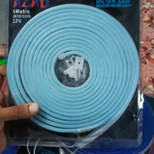 Neon light 12v dc